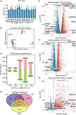 Transcriptional Effects of Candidate COVID-19 Treatments on Cardiac Myocytes